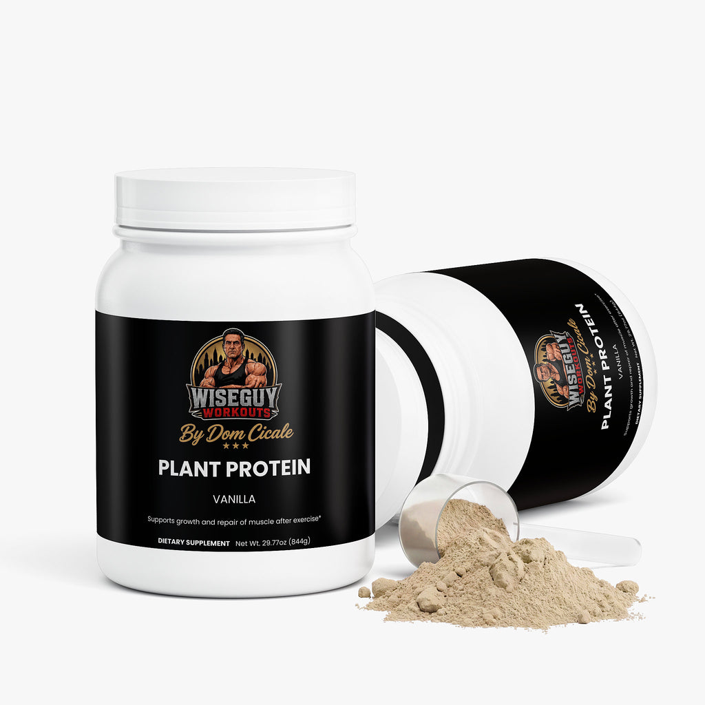 Wiseguy Plant Protein (Vanilla)