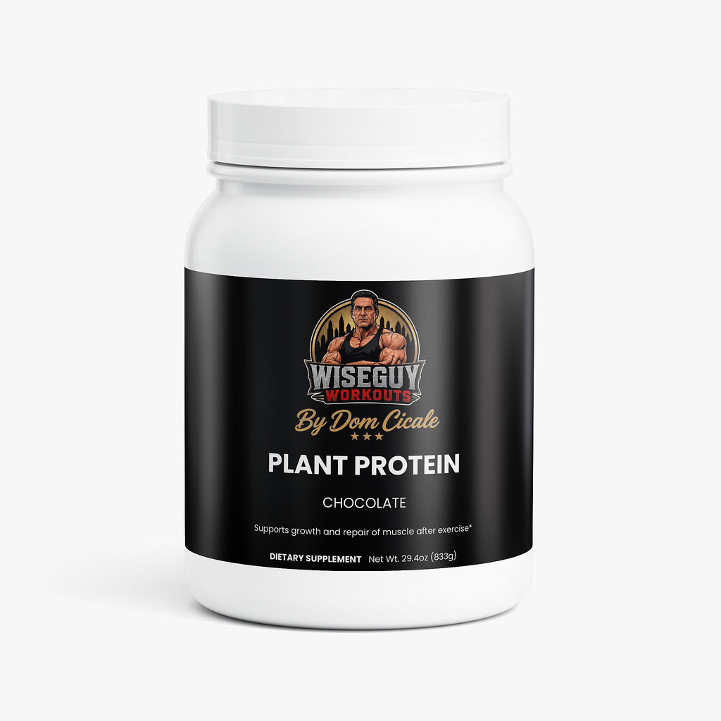 Wiseguy Plant Protein (Chocolate)