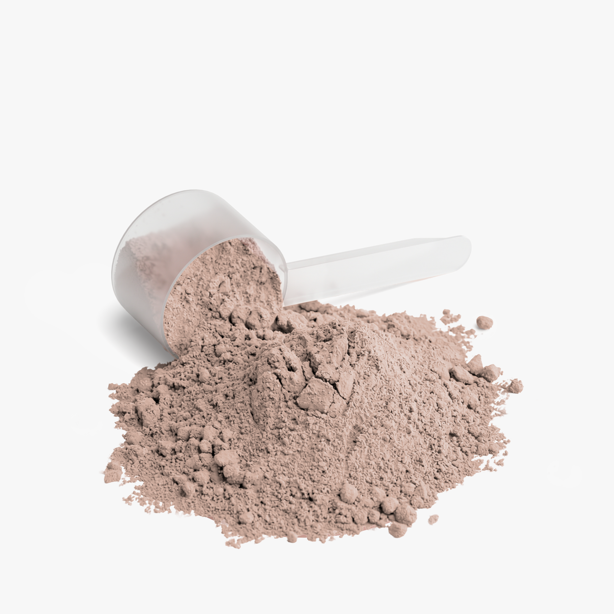 Wisegirl Plant Protein (Chocolate)