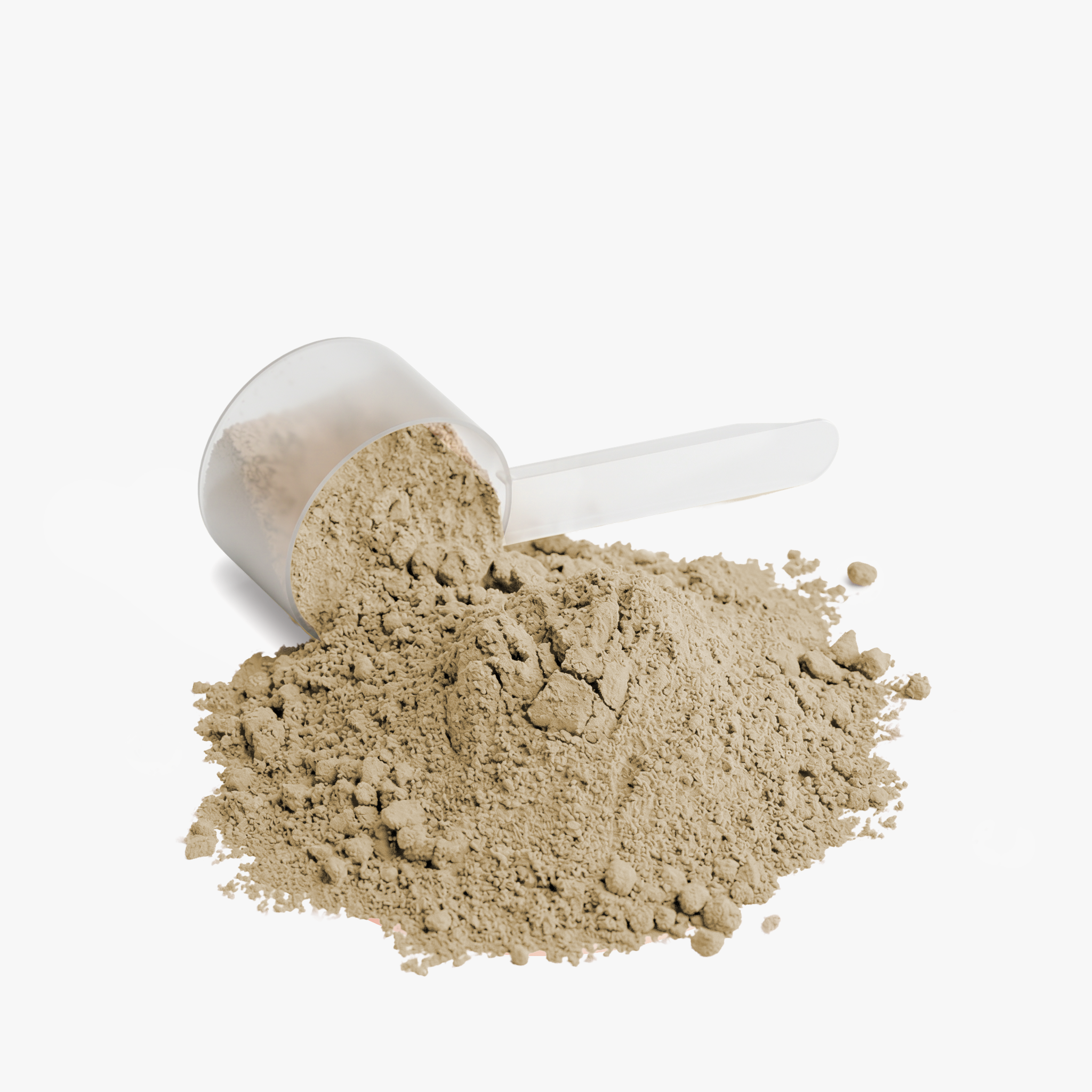 Wiseguy Whey Protein Isolate (Vanilla)