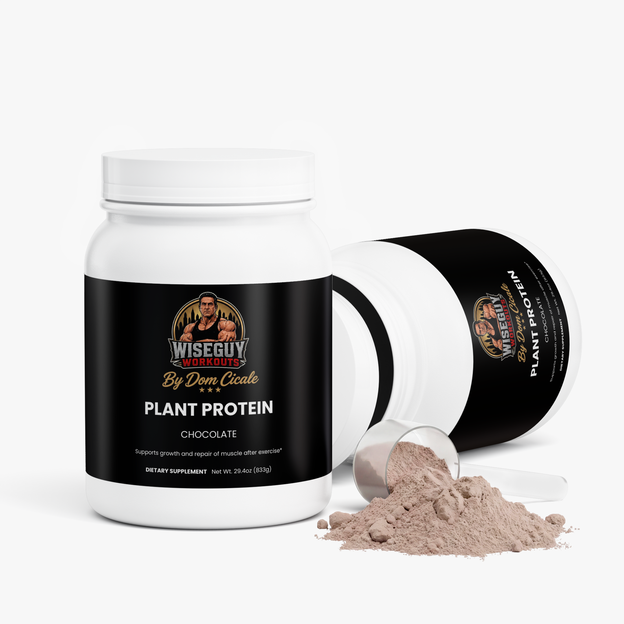 Wiseguy Plant Protein (Chocolate)
