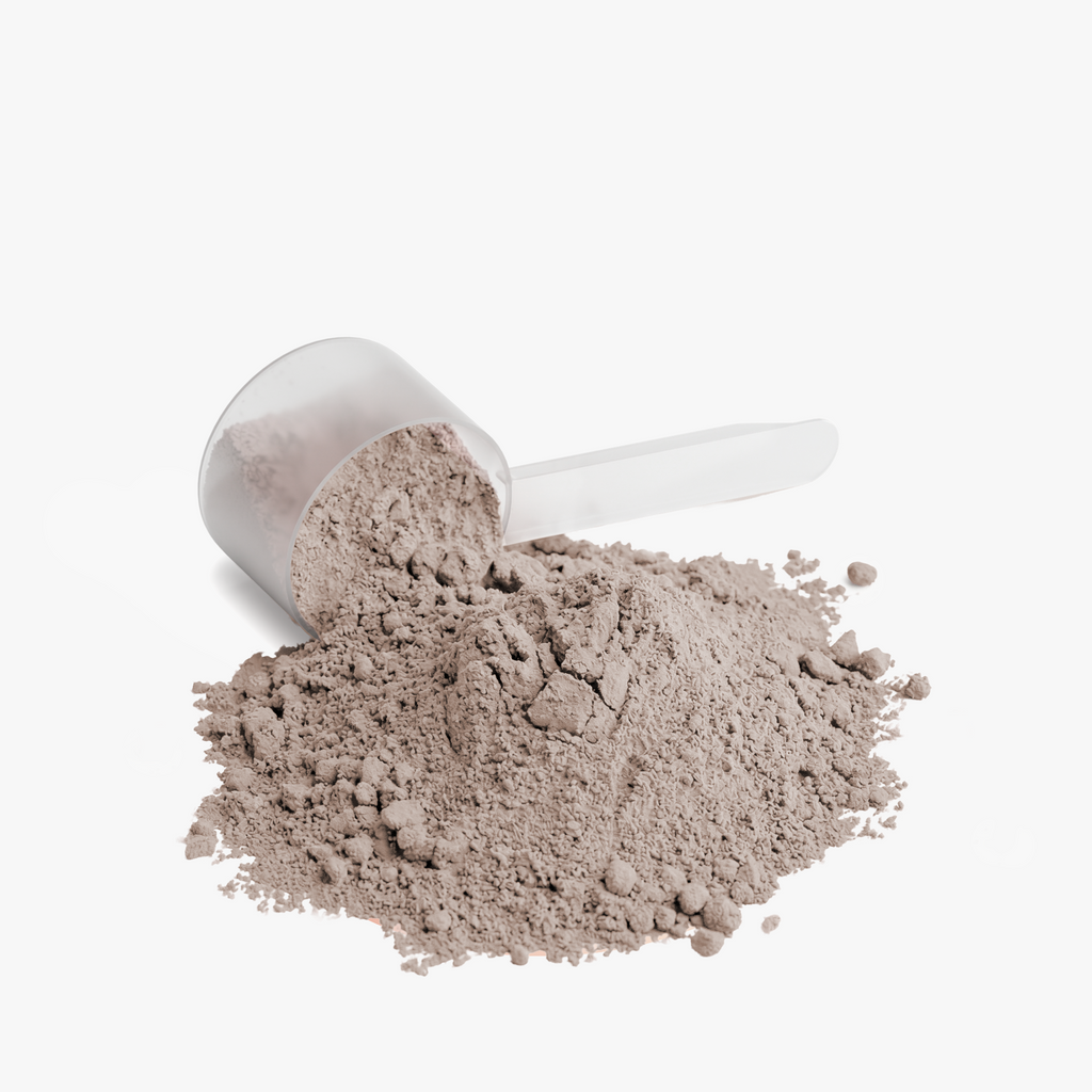 Wiseguy Whey Protein Isolate (Chocolate)