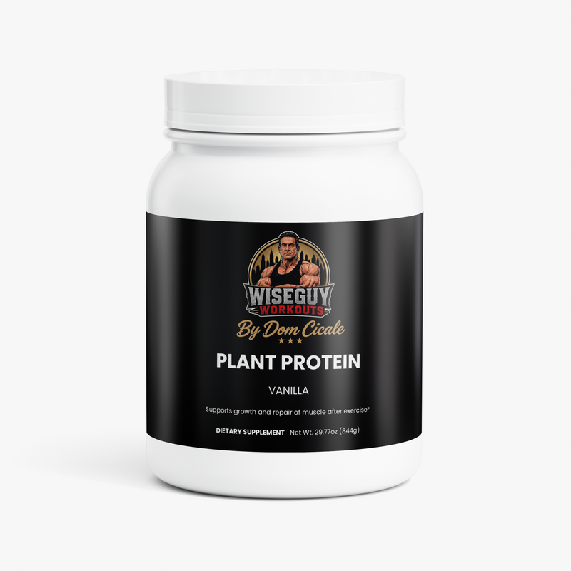Wiseguy Plant Protein (Vanilla)